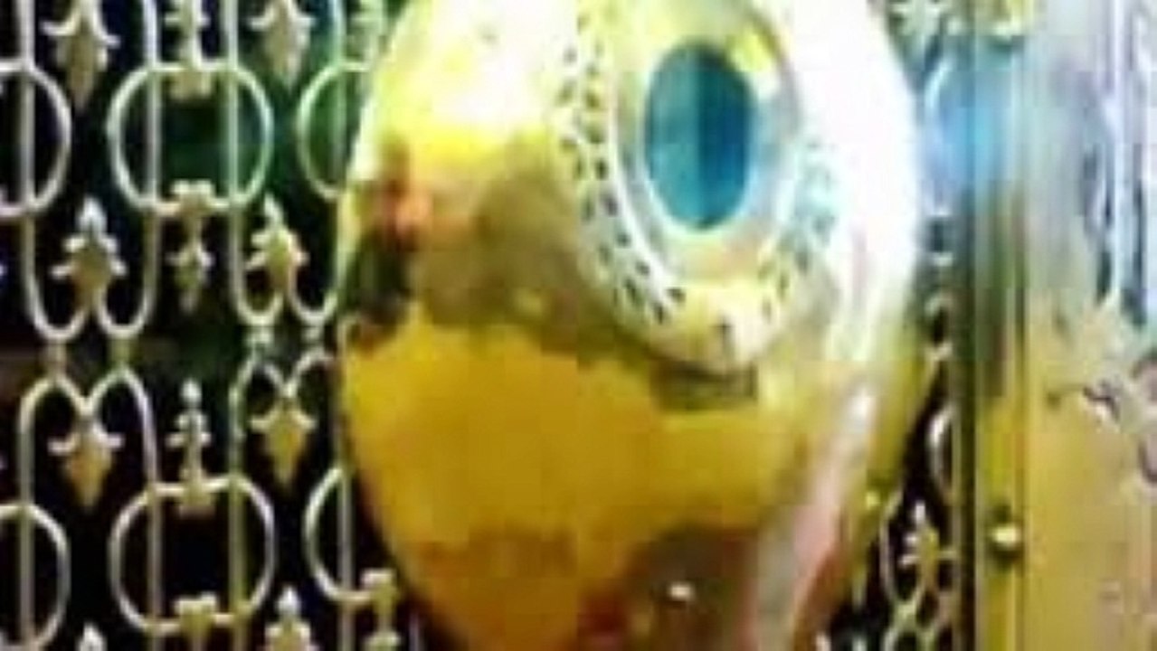 Chuth Raha Hai Naana Ka | Chuth Raha Hai Noha by Ali Zia Rizvi | 28 Rajab Rawangi Imam Hussain (AS)