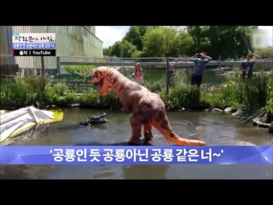 인형 공룡 vs 악어! 숨 막히는 대결! [광화문의 아침] 351회 20161104