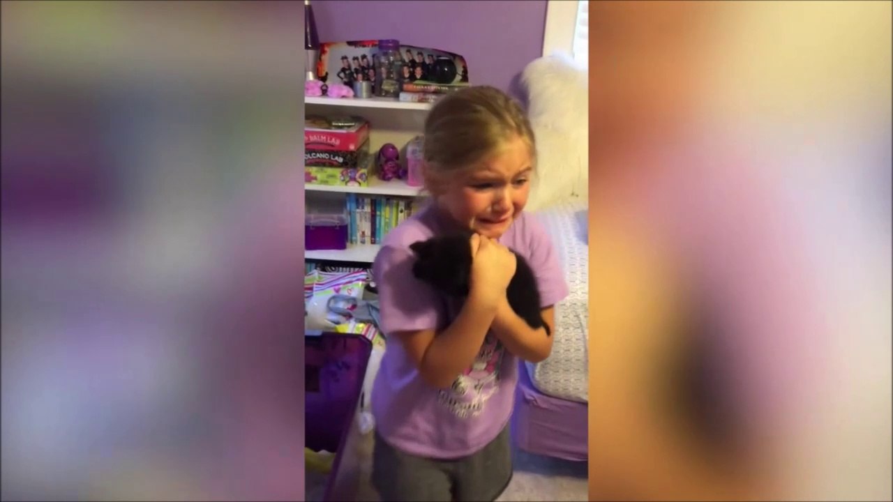 L'émotion de cette fille qui reçoit un chaton en cadeau... Emouvant