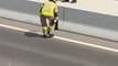 Des pompiers interviennent pour sauver un chaton coincé sur l'autoroute... Chaud