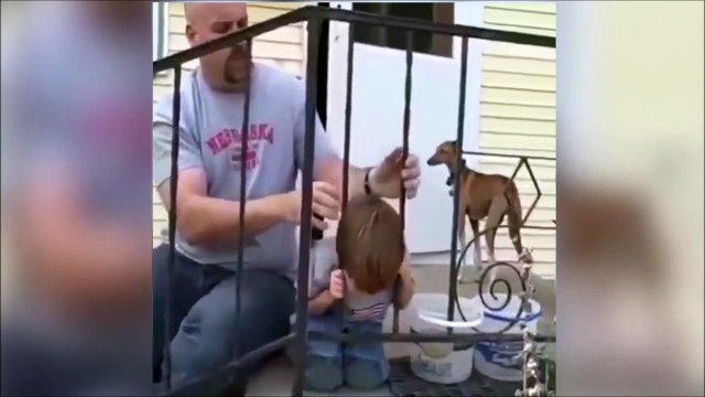 Même le chien essaie d'aider ce gamin qui a la tête coincée