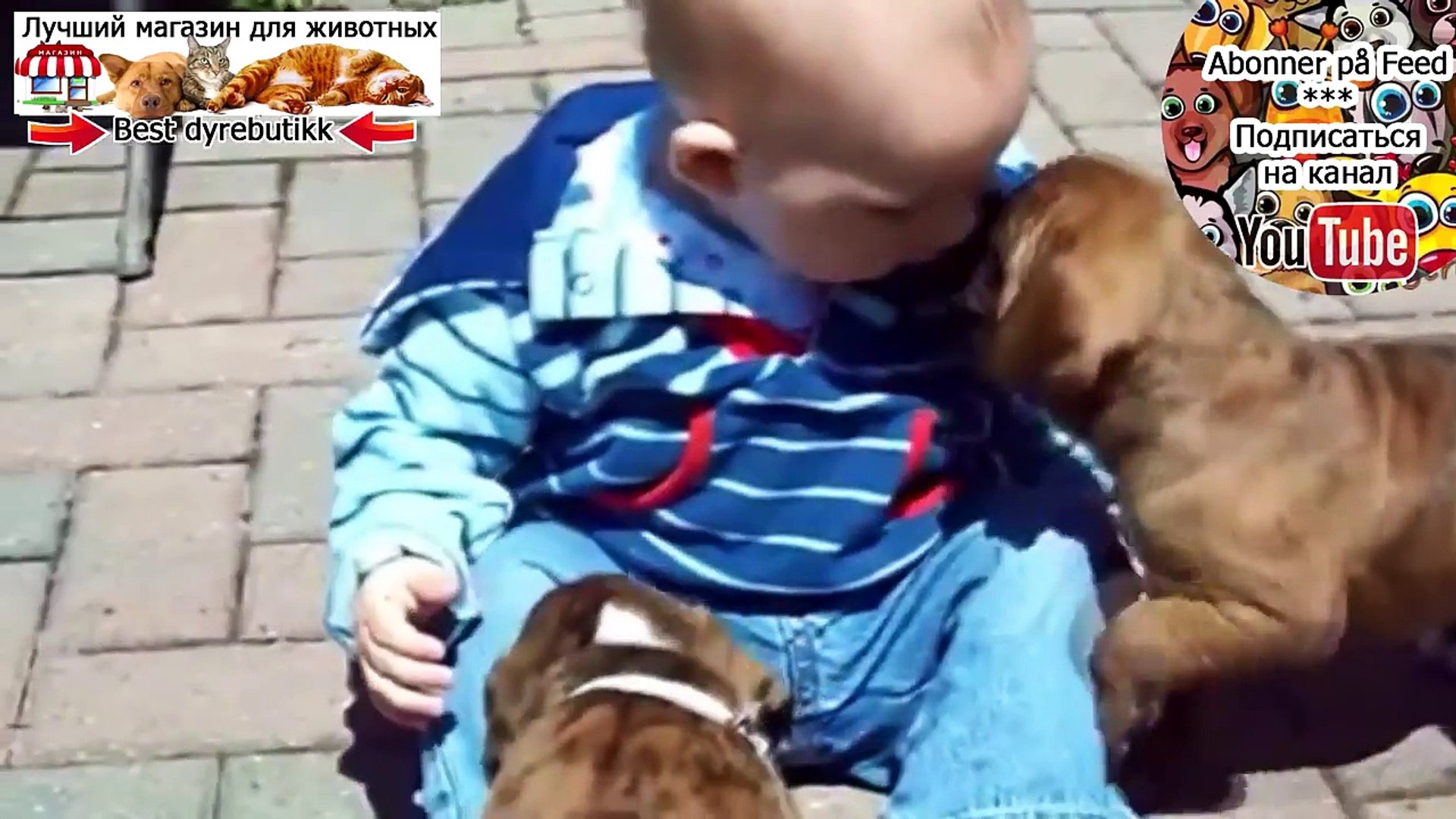 Kids Funny Video ★ Funny Videos Of Kids ★ Funny Videos For Kids #22