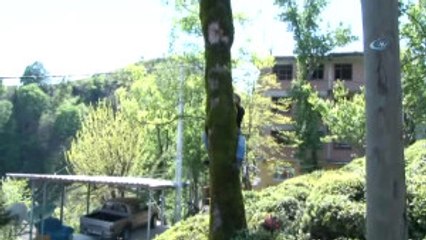 Ekmek Aslanın Ağzında Değil Ağaçların Tepesinde