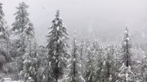 Hautes-Alpes : retour de la neige ce matin dans le Queyras