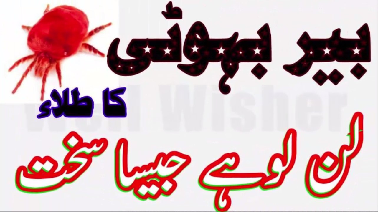 Tilla Beer Boti Anokha Faeda-Deelay Nafas Ko Sakht Karne Ka Faori Tareeqa In Urdu dailymotion