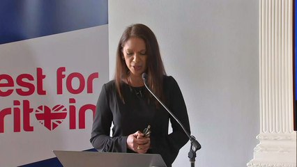 Gina Miller raises £300,000 for pro-EU election candidates
