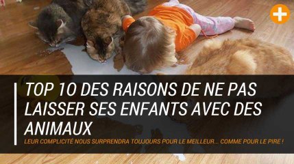 Top 10 des raisons de ne pas laisser ses enfants avec des animaux