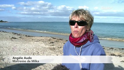 Quiberon (56) Romain, le meilleur ami du chien