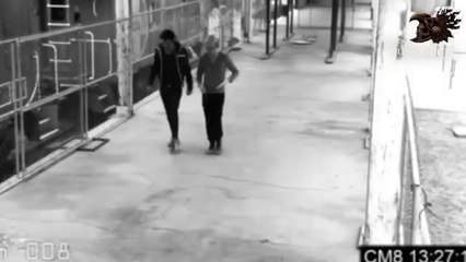 Aliens caminando entre nosotros