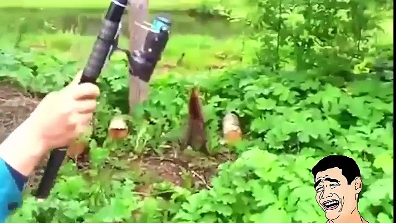 Funny Fishing Videos - Compilation Amazing Fishing Stories