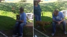 Cão não reconhece dono após este perder 23kg no hospital... até que sente o seu cheiro!