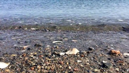 CK 낙태수술가능한병원 [중절수술  ~메일로 문의하세요.] 낙태수술