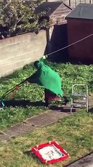 Une femme tente de tondre sa pelouse mais oublie un détail qui a son importance