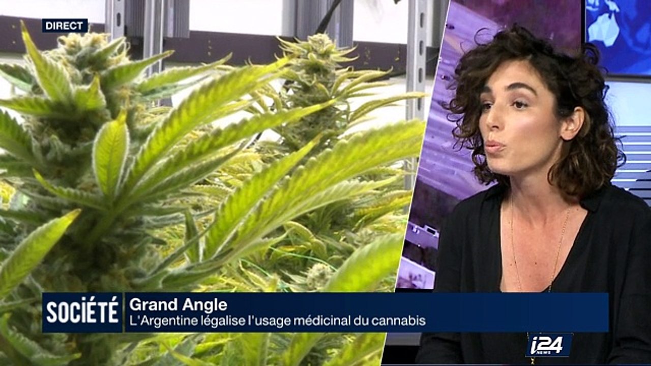 Grand Angle : la légalisation du Cannabis dans le monde