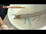 당신의 세탁기 배수관에 살고 있는 것들? [만물상 164회] 20161030