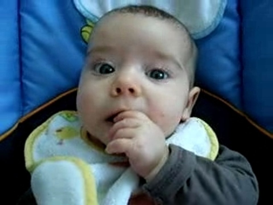 Puce parle !!!