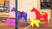 Horse Colours Songs Collection | Colourful Color Horse Cartoons | 3D Colors Horse Rhymes F