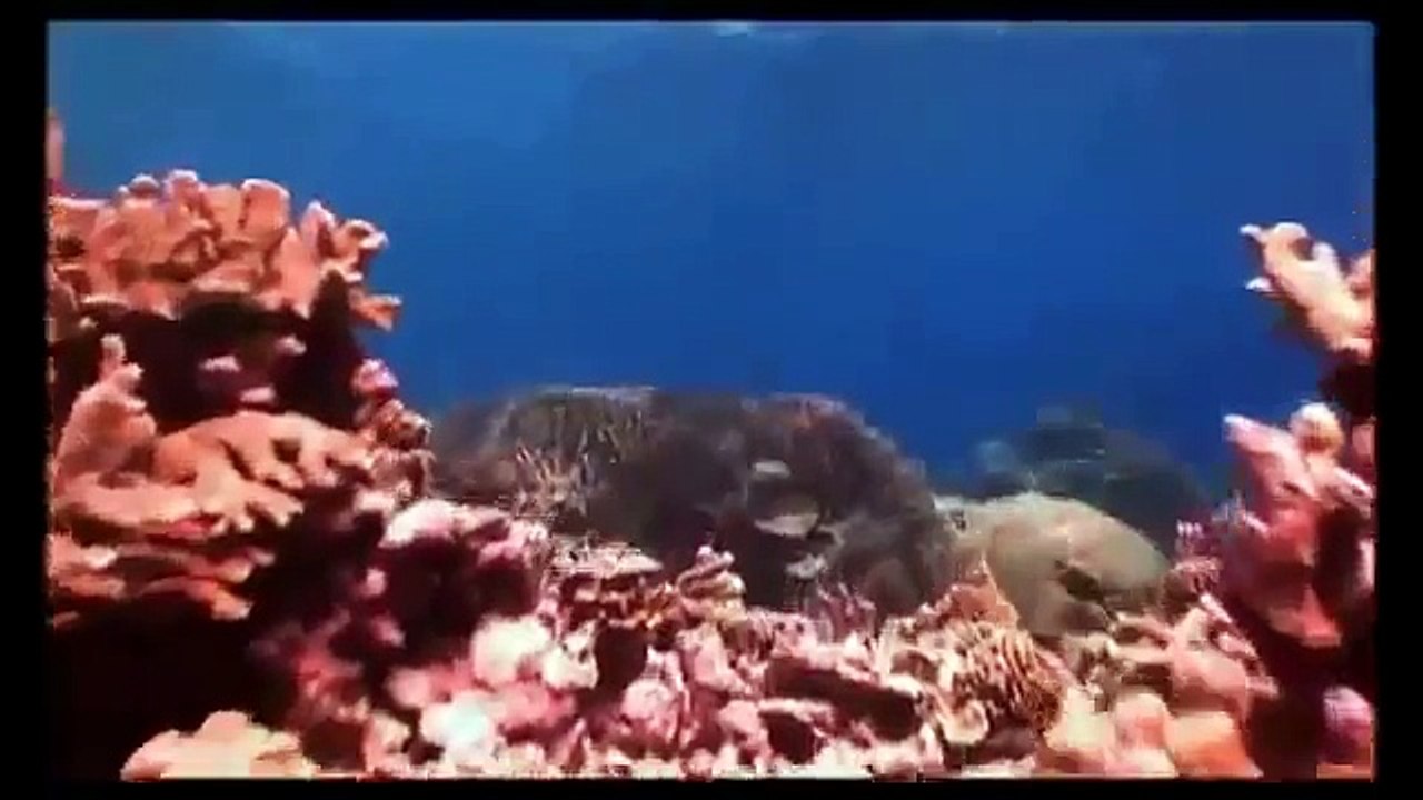 The Evolution of Documentary