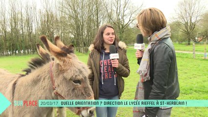 Sur Place au lycée Jules Rieffel (2/2)