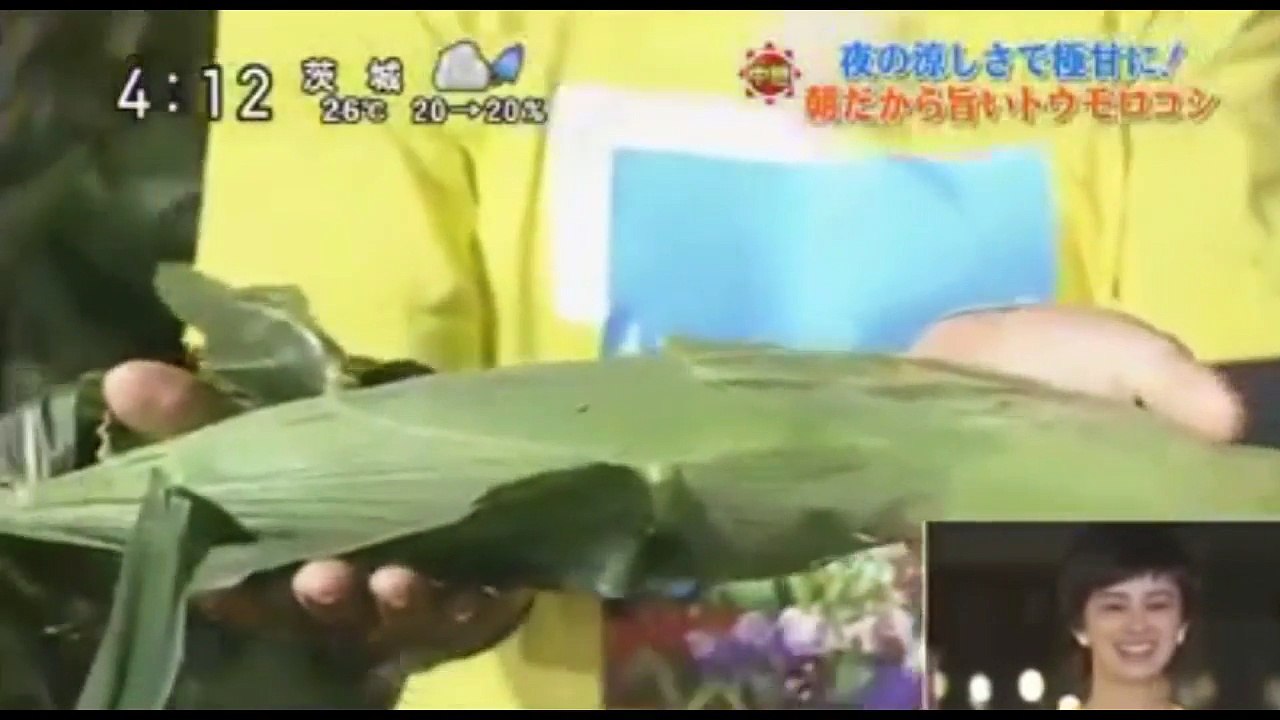 ボンビーガール 美咲まとめ