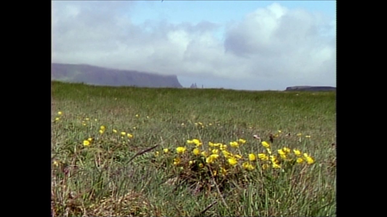 GLAY　『Interview』HD1