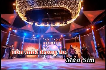 Chiều Bên Đồi Sim - Như Quỳnh, Trường Vũ KOK