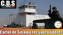 Cártel de Sinaloa recupera a líderes de sus brazos armados