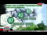 SONA: Pagputol ng puno sa Baguio, natuloy pa rin sa kabila ng pagtutol ng mga residente