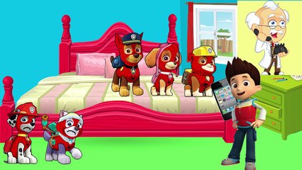 Five Little Paw Patrol Spiderman Jumping on the Bed - 5 Little Monkeys Jumping On The Bed