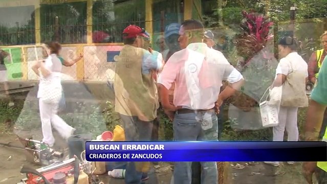 Ministerio de Salud busca erradicar criaderos de zancudos