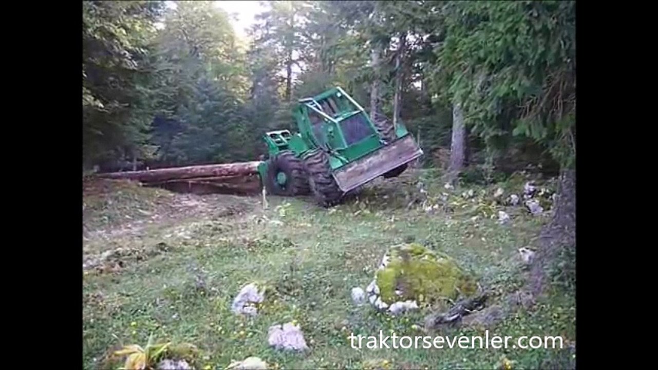 Ormanların kralı