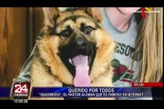 Quasi, el perro que enterneció las redes sociales