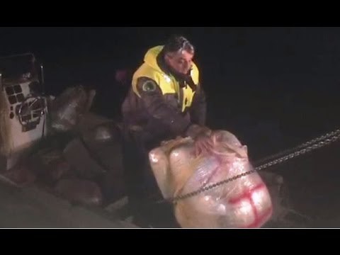 Vieste (FG) - Bloccato gommone carico di marijuana al largo del Gargano (15.03.17)