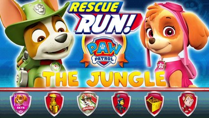 PAW Patrol Rescue Run. The Jungle New location with a puppy Tracker! Game For Kids