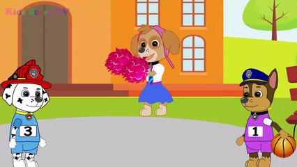 Paw Patrol Baby Playing Volleyball funny story Full Episodes! Paw Patrol Animation Movies