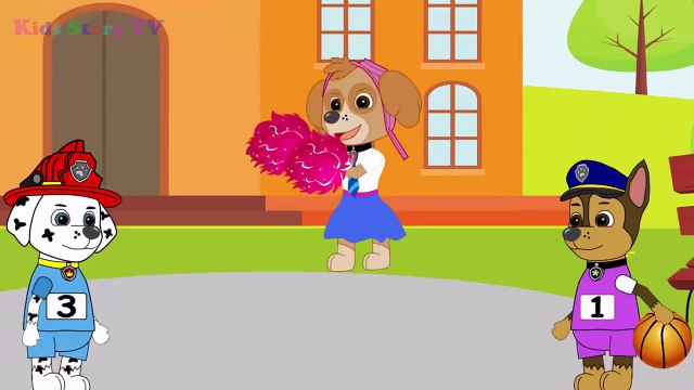 Paw Patrol Baby Playing Volleyball funny story Full Episodes! Paw Patrol Animation Movies