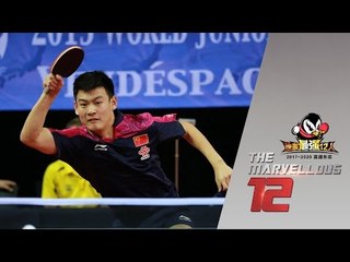 2017 Marvellous 12 Highlights: Zhang Jike vs Liu Dingshuo