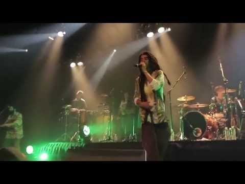 DVD Zona Ganjah en vivo HD - Fumando vamos a casa (19/32)