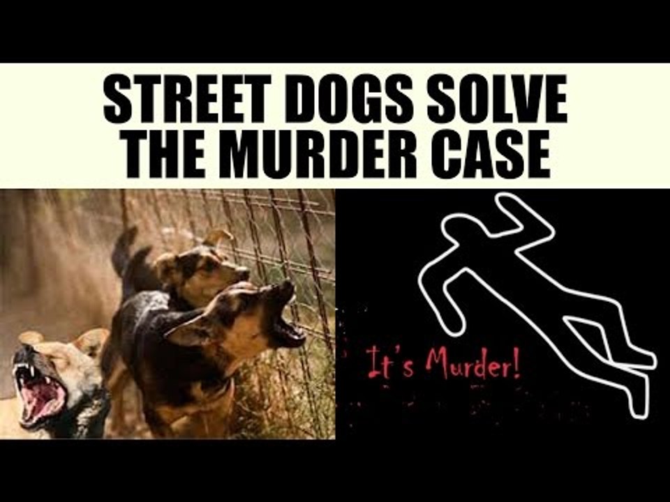 Delhi street Dogs help police crack murder case| Oneindia News