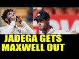 India vs Australia : Ravindra Jadeja strikes, Maxwell out after maiden ton | Oneindia News