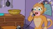 Five Little Monkeys - Monkey Rhymes - English Animated Rhymes