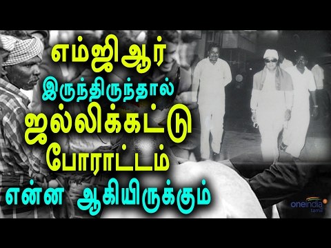 எம்ஜிஆர் கையாண்ட வழி இது! | Lesson from MGR to handle Jallikattu type riots- Oneindia Tamil