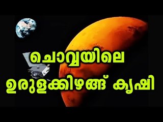 Potatoes In Mars ? | Oneindia Malayalam