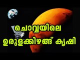 Potatoes In Mars ? | Oneindia Malayalam