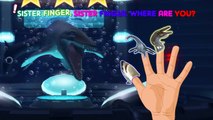 #Dinosaur Battle #Shark Finger Family #Nursery Rhymes Song ♔ #Finger Family Shark Collecti