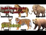English listening practice for beginners(Level 1)-Lesson 42-Wild Animals