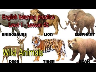 English listening practice for beginners(Level 1)-Lesson 42-Wild Animals