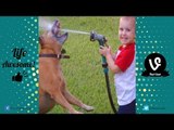 TRY NOT TO LAUGH or GRIN - Funny Kids Fails Compilation 2017 | Top Funny Vines Fails Kids & Animals