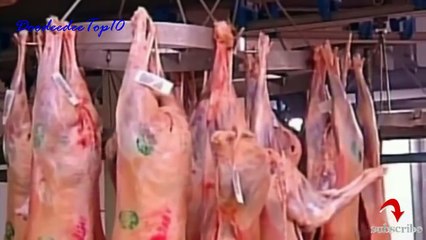 優れました！ステーキを食べるのが好き現代の屠殺場の牛降下は、お見逃しなく。