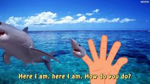 Shark VS Godzilla Finger Family Sea Monster Nursery Rhymes - Shark Battle Monster Family-e